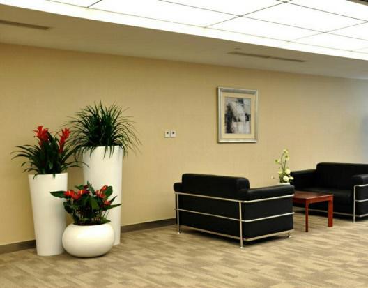 花卉綠植租擺的雷區有哪些呢？