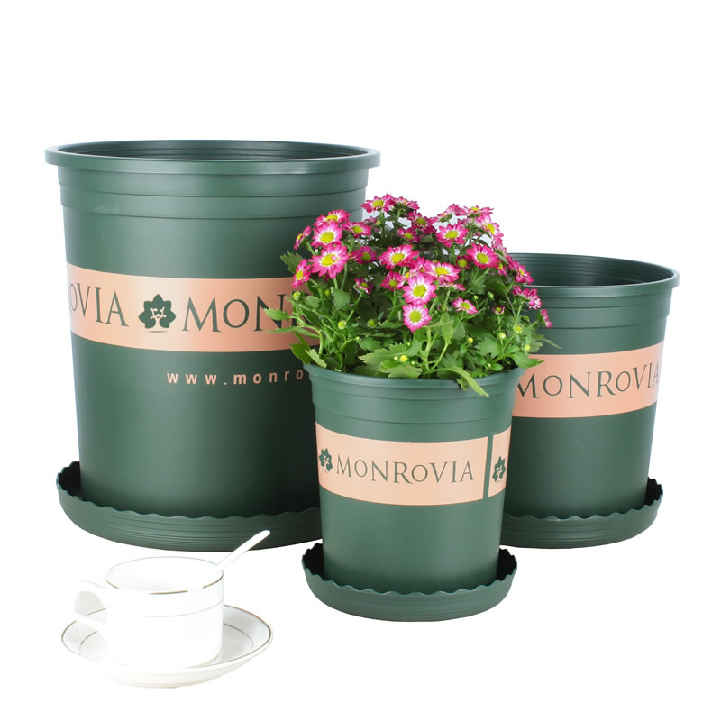 樹(shù)脂加侖花盆