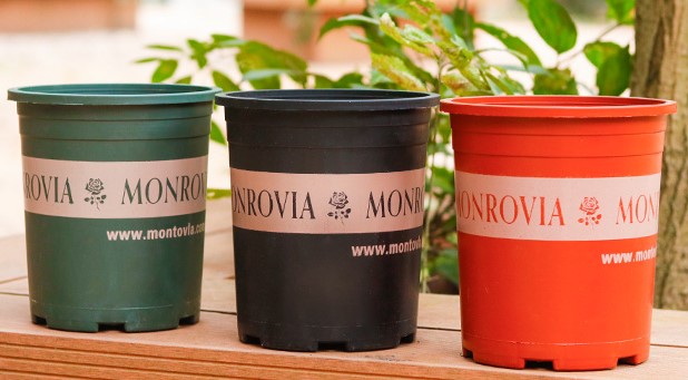 樹(shù)脂加侖花盆